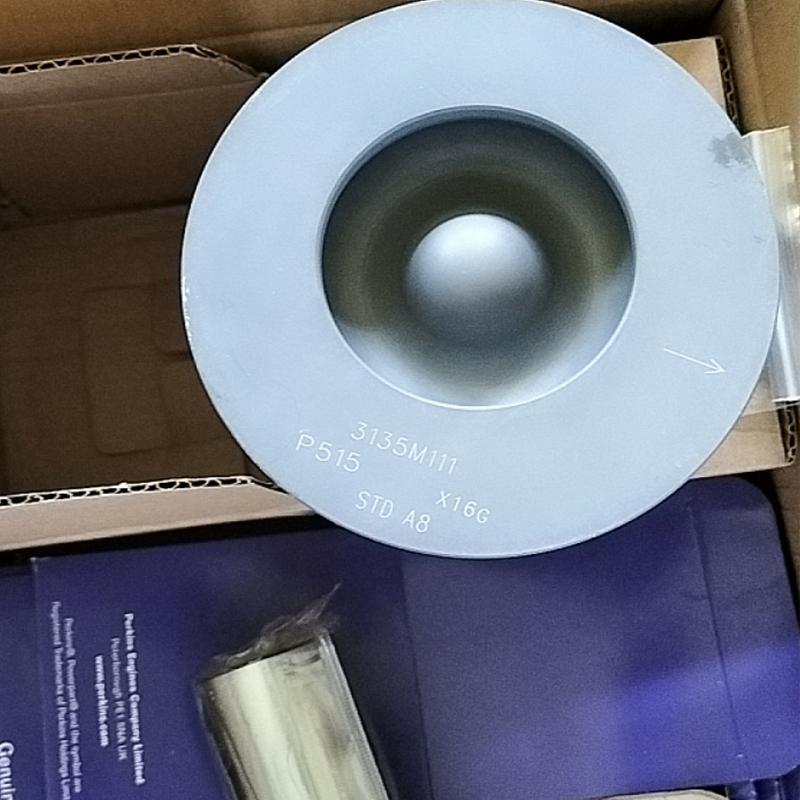 3135M1111 Piston for Perkins 1103 1104