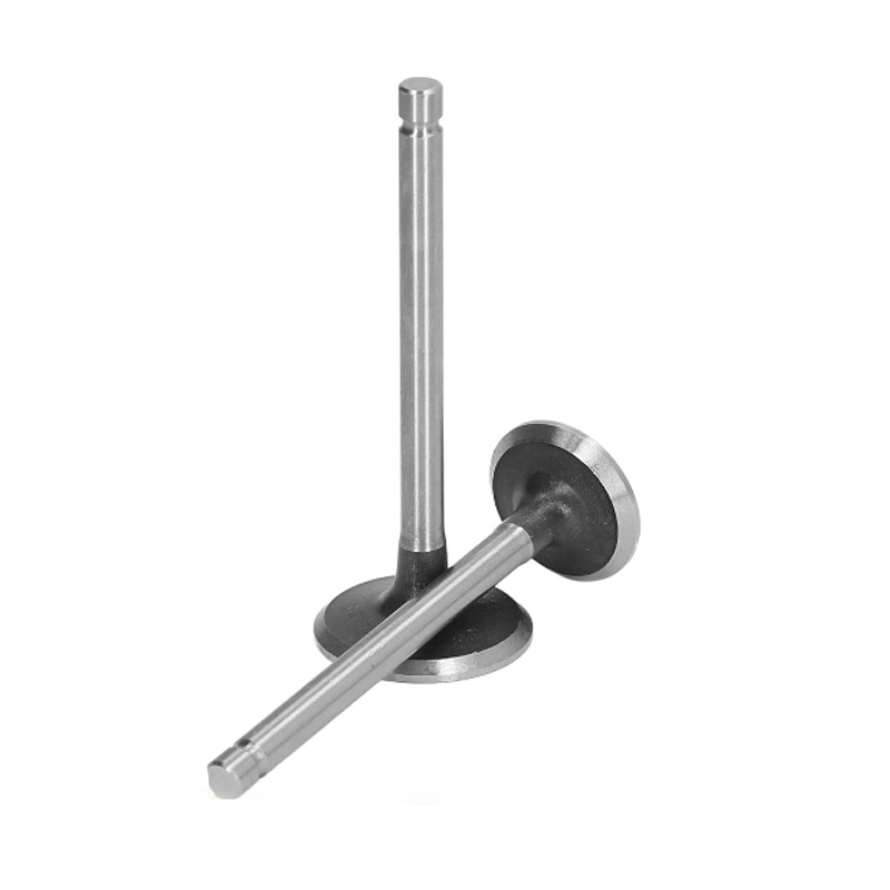 04283378 04283379 Intake Valve Exhaust Valve for Deutz Engine 1013 2013